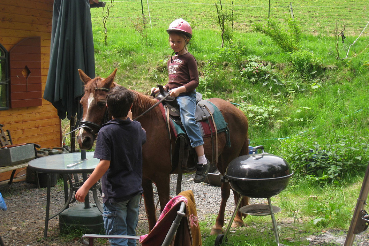 Ponyreiten und Kutschfahrten